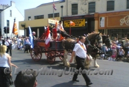 A horse pulling a cart decorated with flags in the Orange march