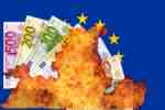 Euros burning on an EU flag