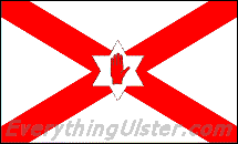 Proposed new Northern Ireland flag - Saint Patrick's Cross defaced with the Red Hand of the O'Neills in a 6-pointed star